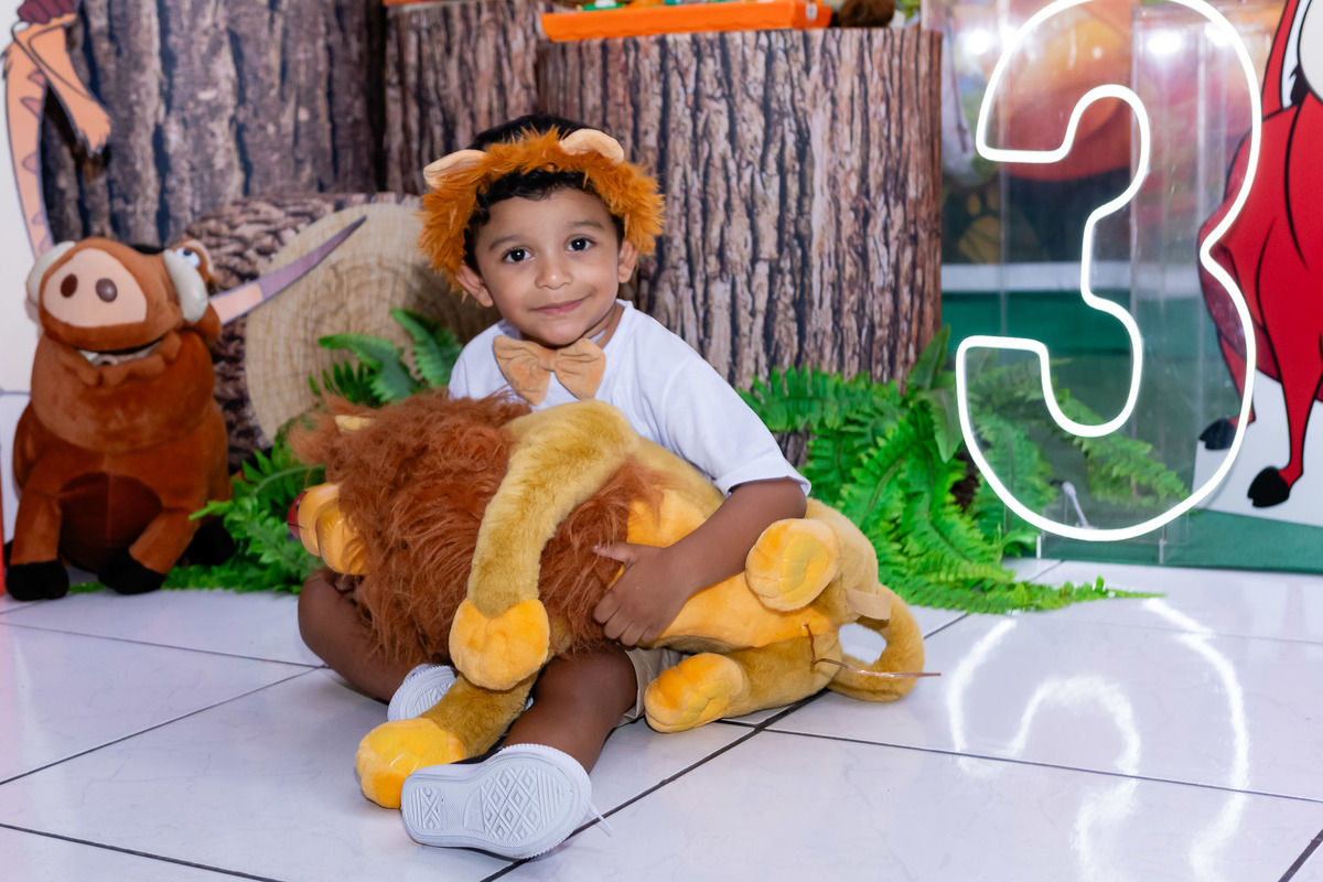 menino abraçado com pelúcia do simba festa infantil