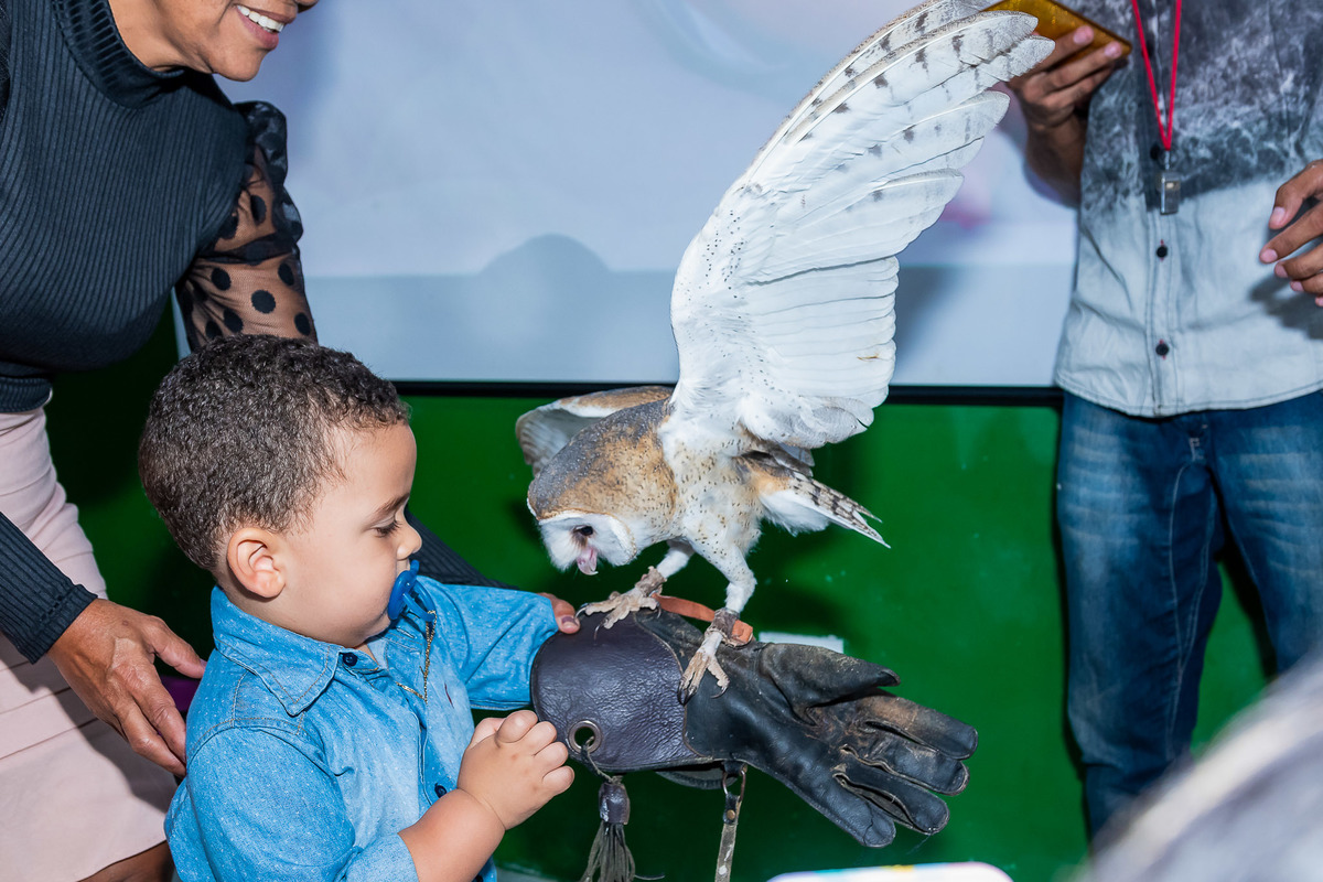 Momento de coragem das crianças com o animais na casa de festa Space Treehouse