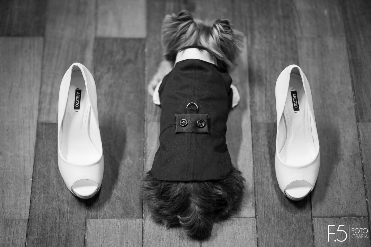 Making of da noiva, Lívia, onde seu pet também fazia parte. Realizado em Muzambinho - MG.