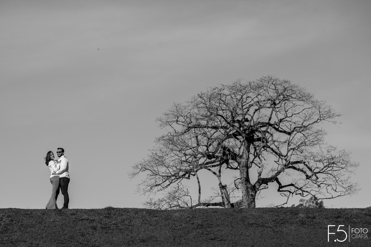 Fotos casal, arvore, fotógrafo Minas