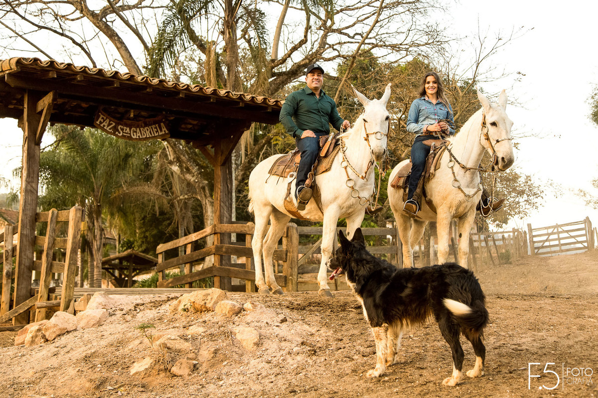 Noivos, cavalos, cachorro, pré casamento