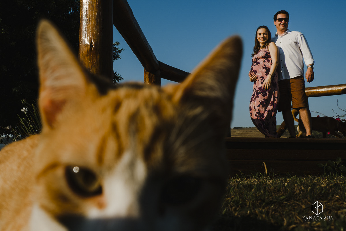 gato espia enquanto casal gestante posa para foto durante ensaio em itaí no interior de SP