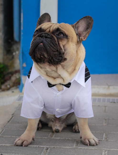 menino das alianças