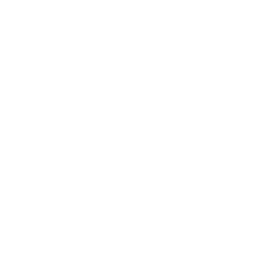 Logotipo de Ninna Prado