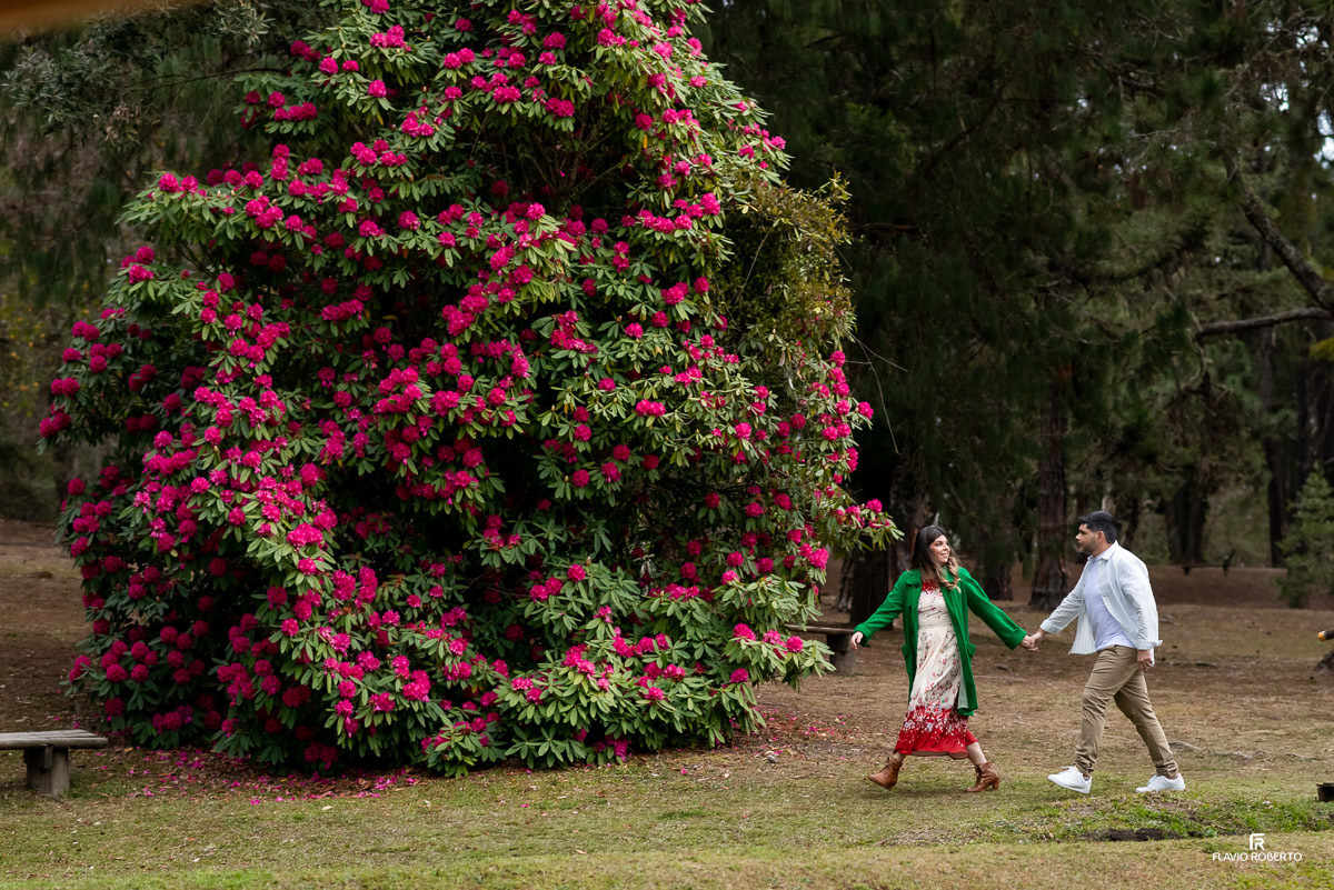 noivos de mãos dadas caminhando pelo bosque durante Ensaio Pre Wedding no Horto de Florestal de Campos de Jordão