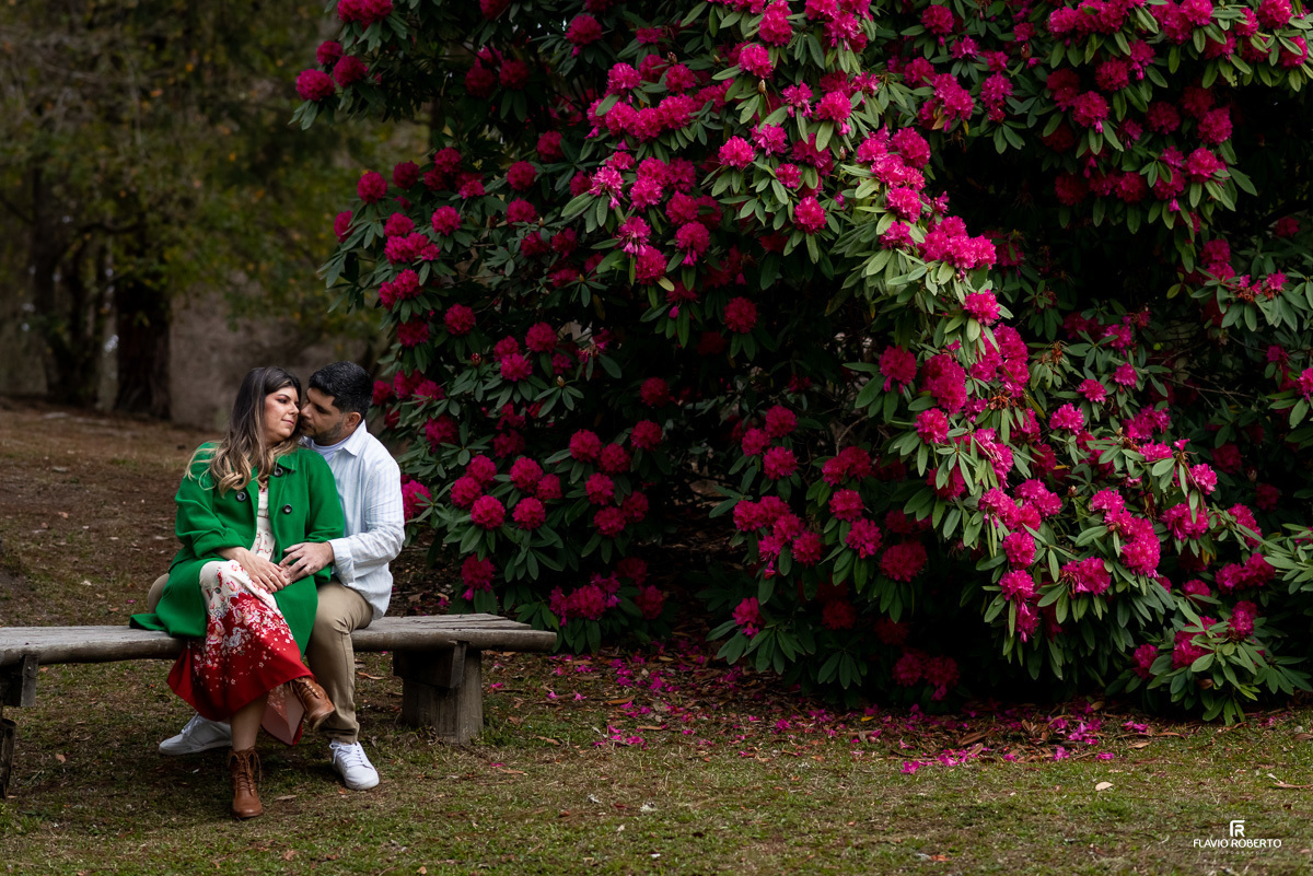 noivos sentados conversando no bosque durante Ensaio Pre Wedding no Horto de Florestal de Campos de Jordão