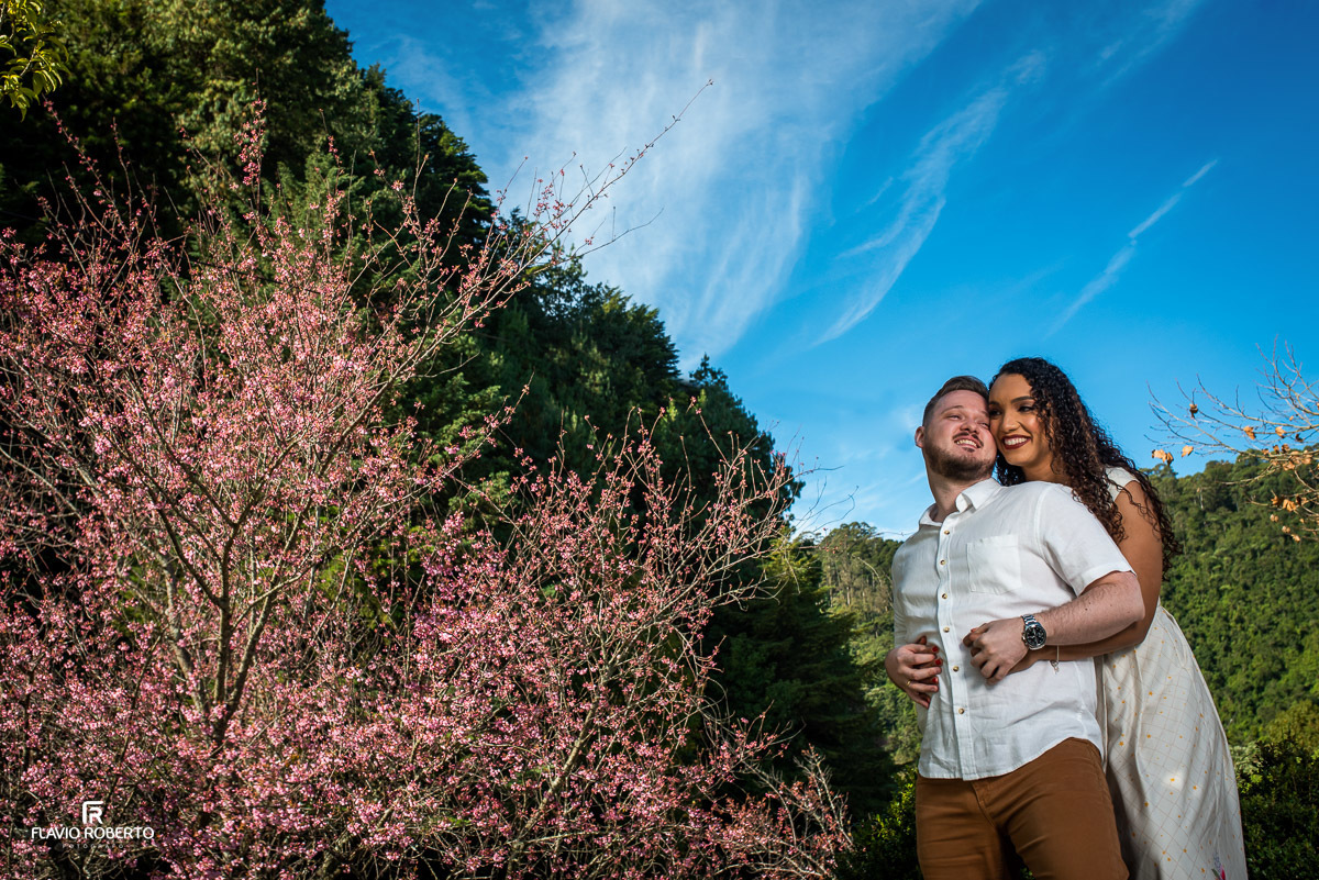 casal abraçado perto de uma cerejeira durante Ensaio Pre Wedding em Campos do Jordão