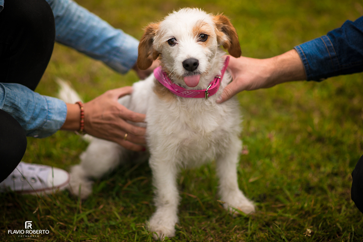 Ensaio-pre-wedding-embalse-del-neusa-flavio-roberto-fotografo