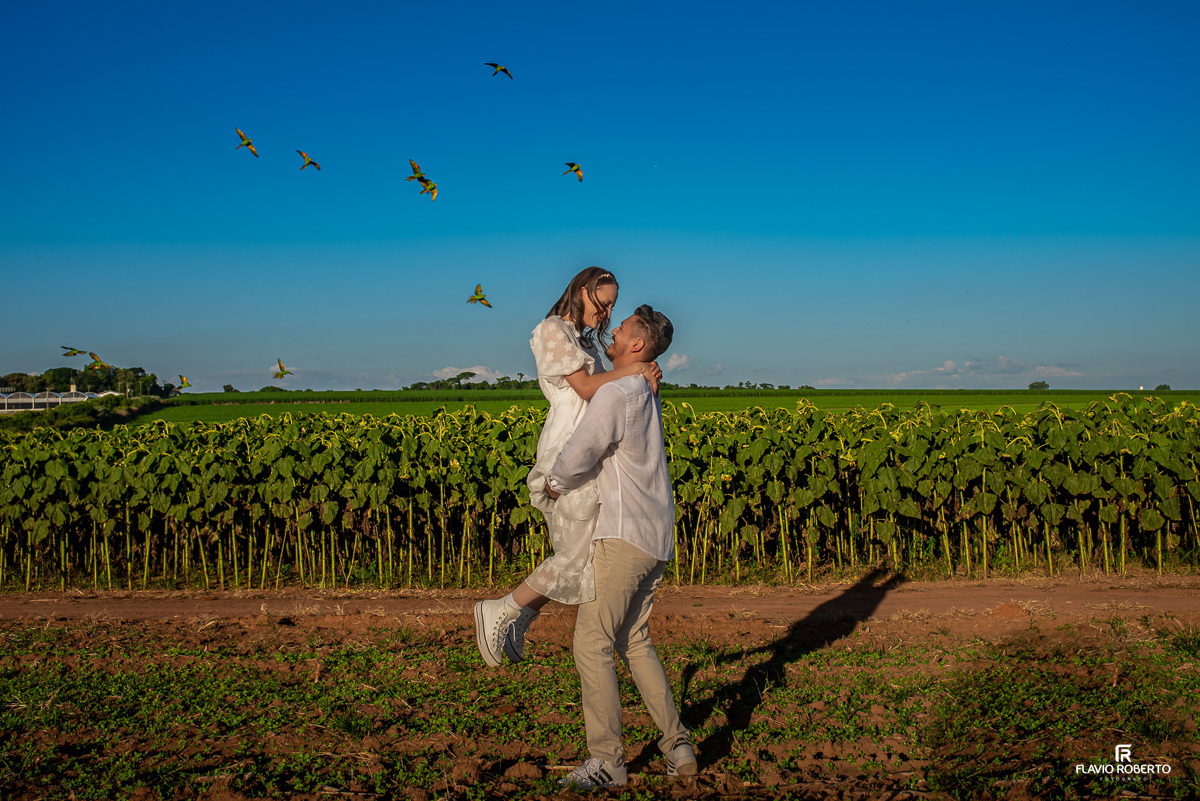 Pre Wedding em Holambra, a Cidade das Flores mais bonita do Brasil.