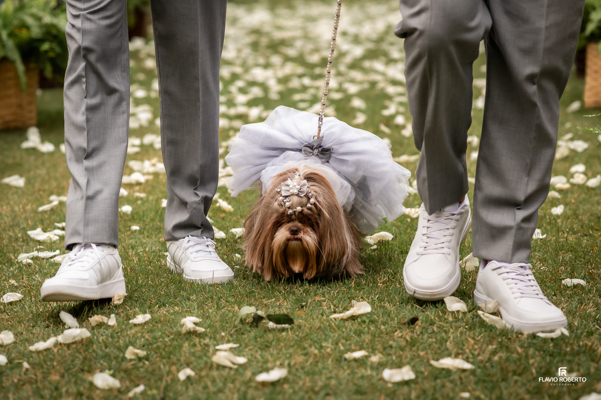 cachorrinho da noiva entrando na cerimônia de Casamento no Rancho Mustang em Pindamonhangaba.