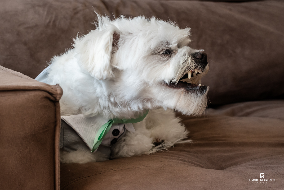 Casamento durante o pôr do sol na Hípica Cachoeira em Cachoeira Paulista