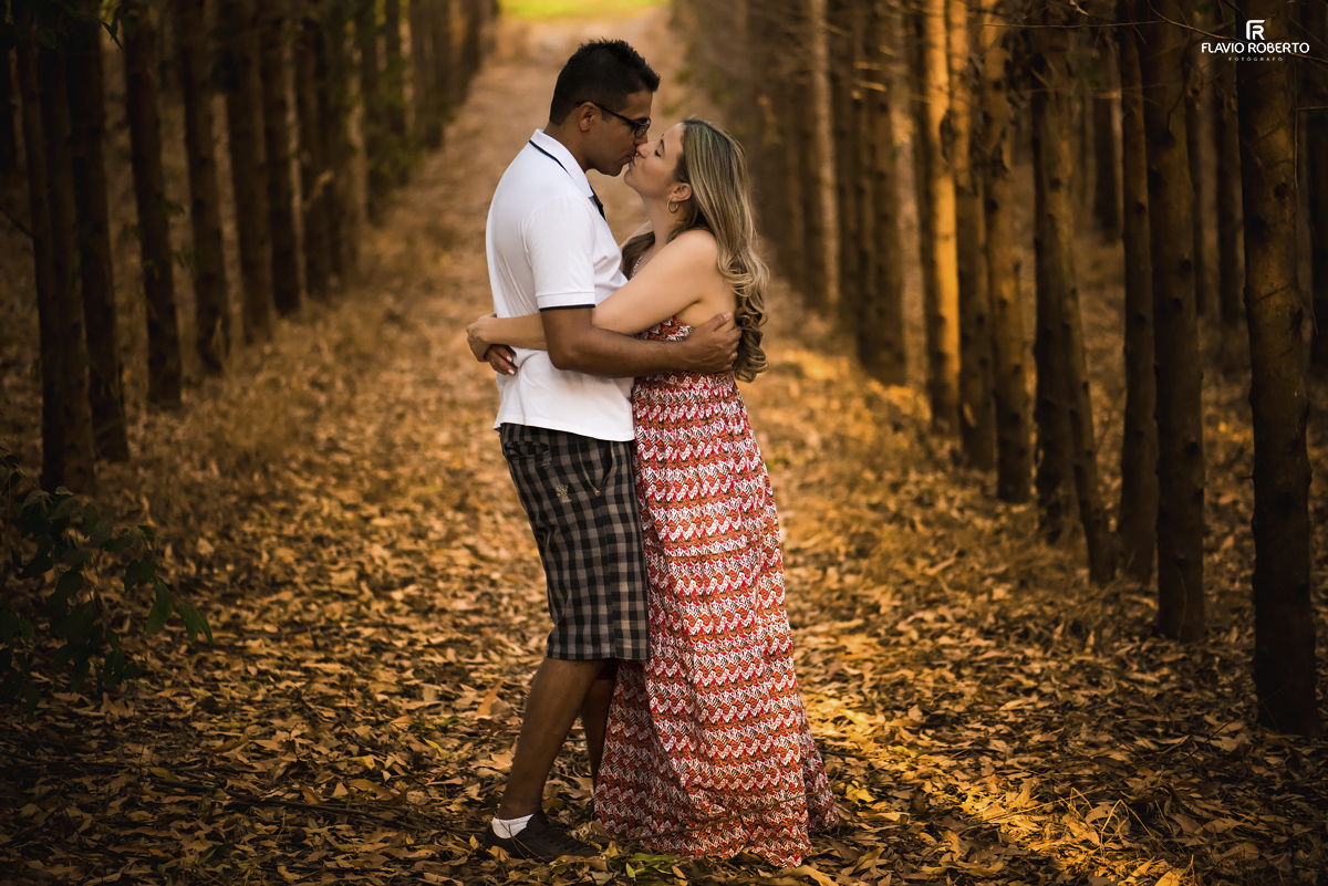 Casal namorando no parque dos eucaliptos durante Ensaio Pre Wedding em Holambra
