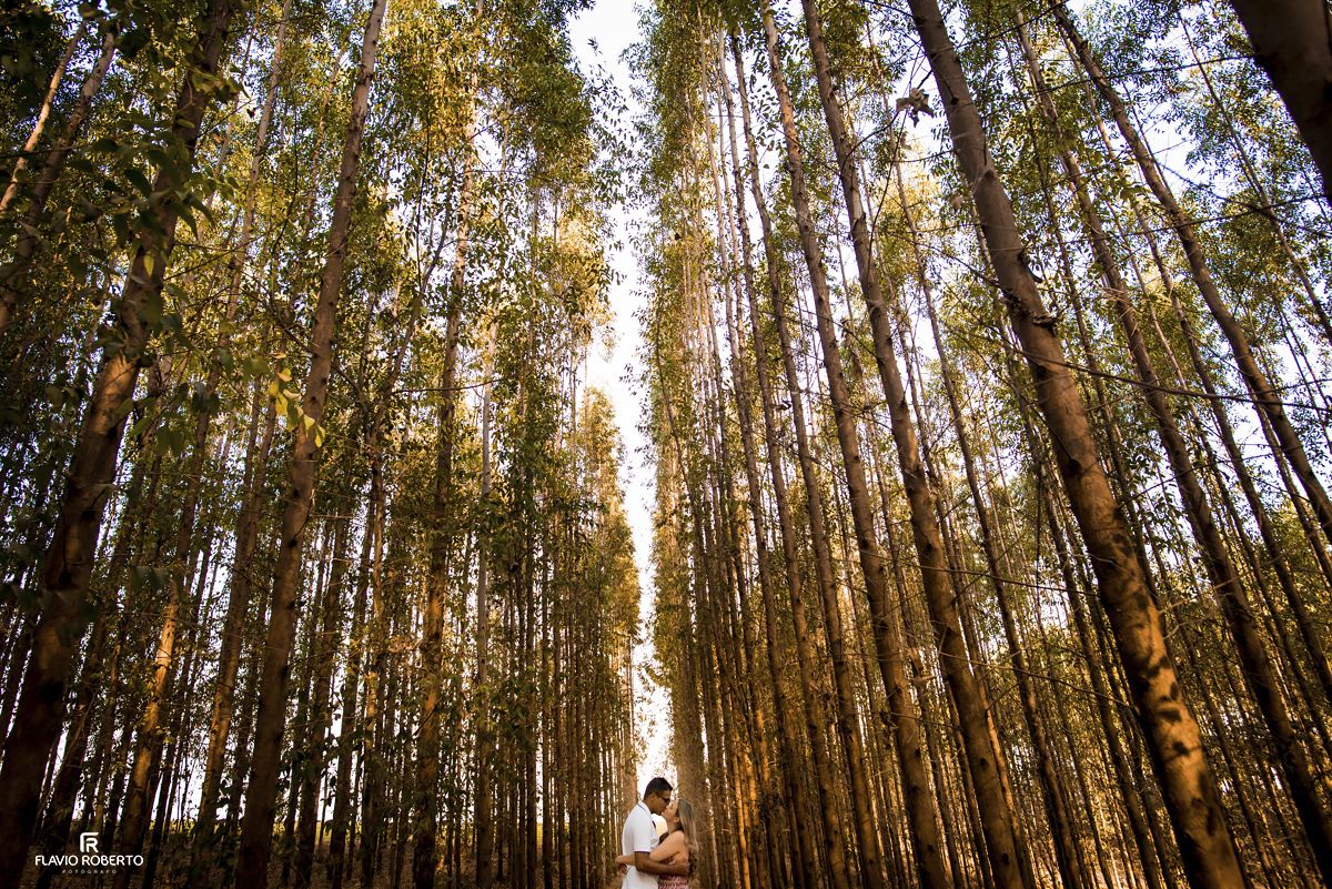 Casal abraçado entre os eucaliptos durante Ensaio Pre Wedding em Holambra