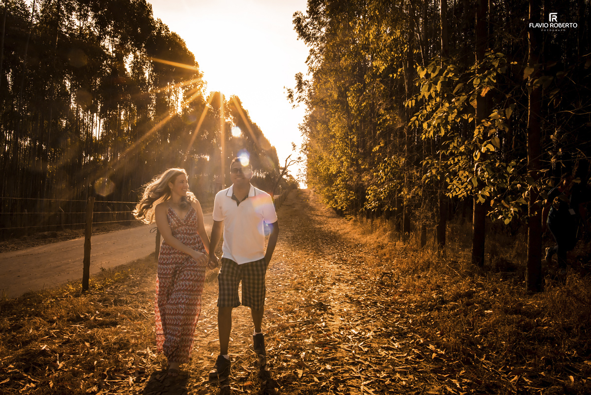 noivos caminhando entre os eucaliptos durante Ensaio Pre Wedding em Holambra