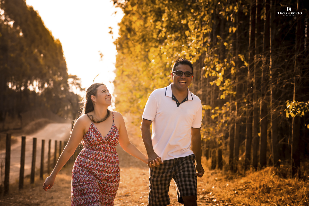 noivos caminhando entre os eucaliptos durante Ensaio Pre Wedding em Holambra