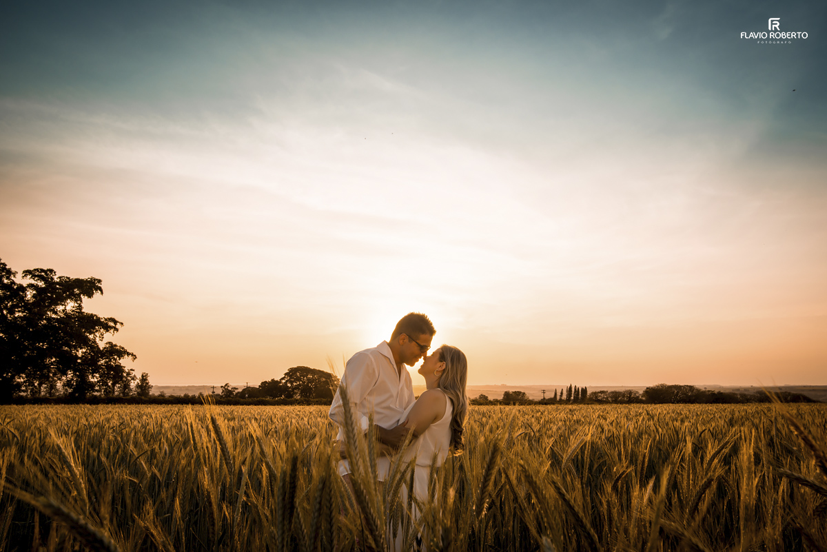 casal se beijando na plantação de trigo durante por do sol no Ensaio Pre Wedding em Holambra