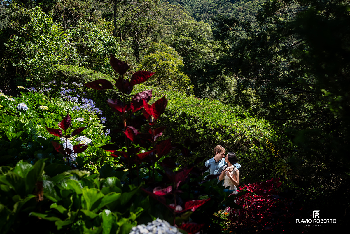 Ensaio pré casamento no Jardim dos Pinhais em SP, casal em momento íntimo entre jardins e natureza.