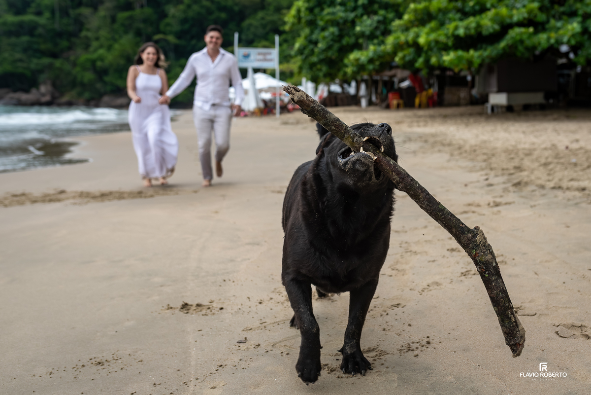 Ensaio pre wedding descontraído na praia em Ubatuba com casal interagindo com cachorro na areia, fotografia espontânea e divertida
