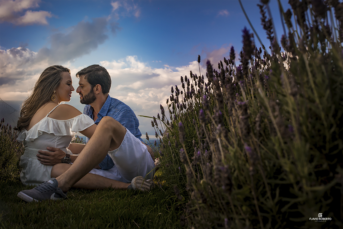 Casal de Noivos namorando entre as lavandas do Lavandário de Cunha, durante o Ensaio Pre Wedding