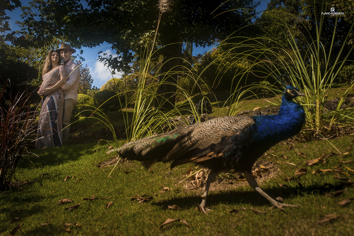 Ensaio de Gestante no Jardim dos Pinhais Ecco Park de Santo Antonio do Pinhal. Fotografia de  Maternidade.