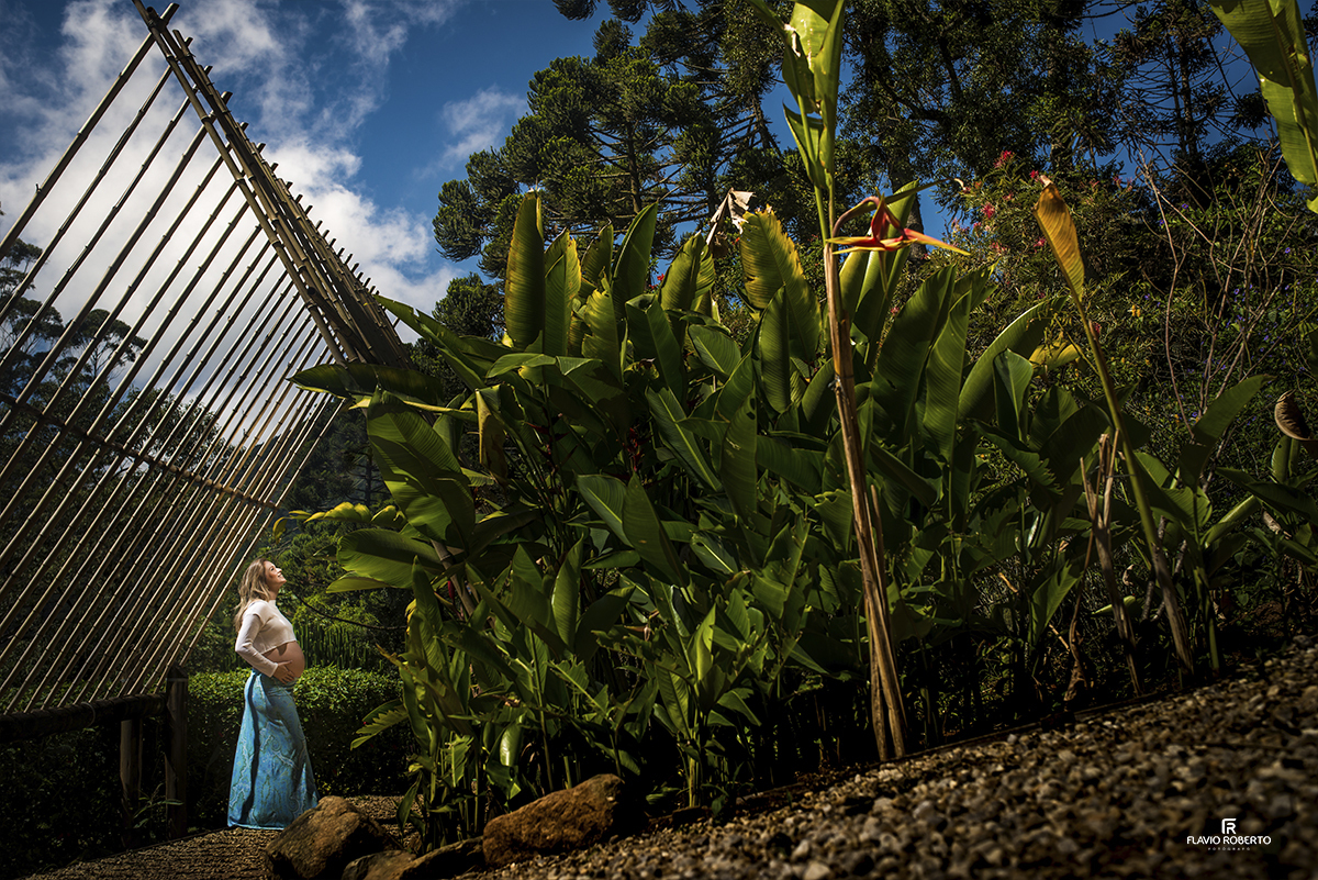 Ensaio de Gestante no Jardim dos Pinhais Ecco Park de Santo Antonio do Pinhal. Fotografia de  Maternidade.