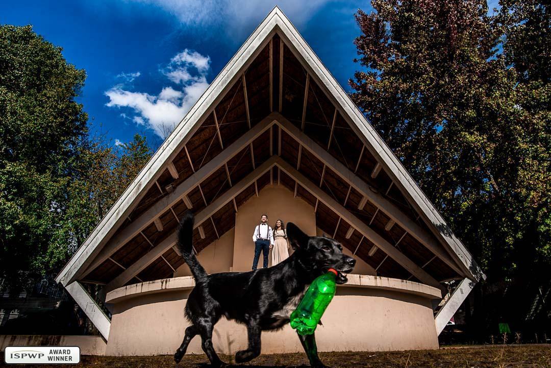 ISPWP: Foto premiada pela ISPWP em Pré Wedding em Campos do Jordão com casal e cachorro
