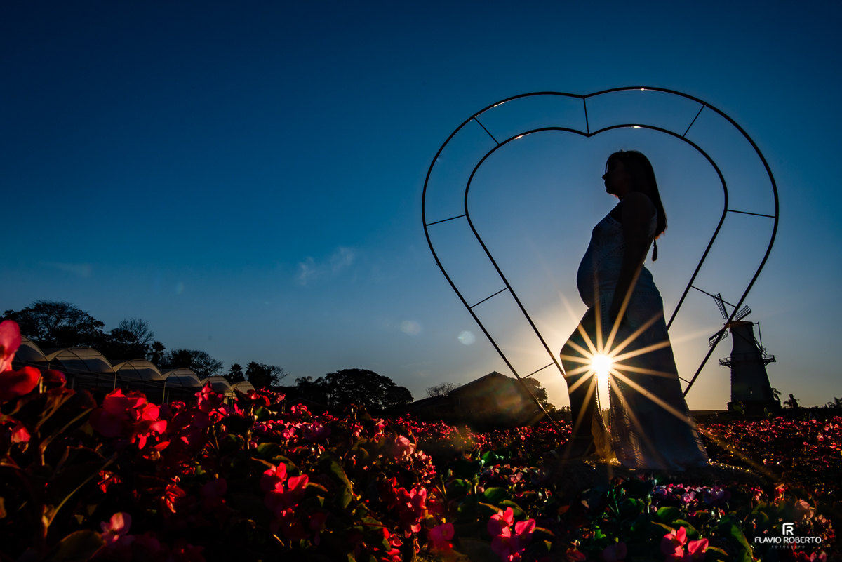 Gestante entre flores durante Ensaio de Gestante em Holambra