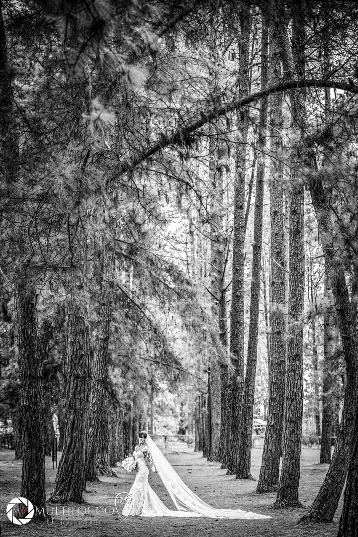 Ana Poula- prevai de noiva- fotos de noiva- vestido de noiva-casameno-Jardim Botanico