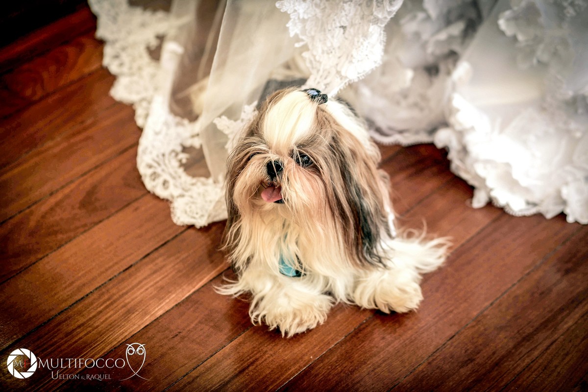 Ana Poula- prevai de noiva- fotos de noiva- vestido de noiva-casameno-Jardim Botanico