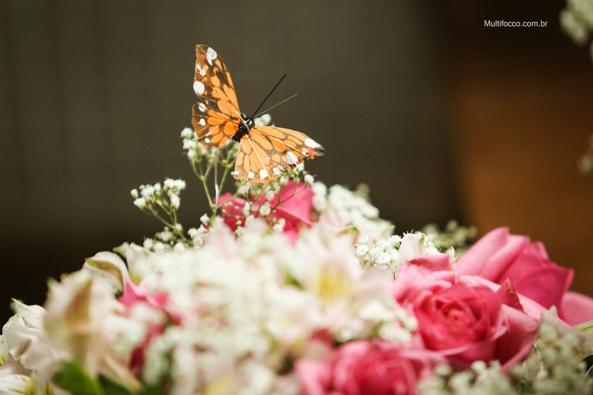 fotografo-de-casamento-brasilia-rebeca-e-thiago-citio-geranium-df-casamento-de-dia