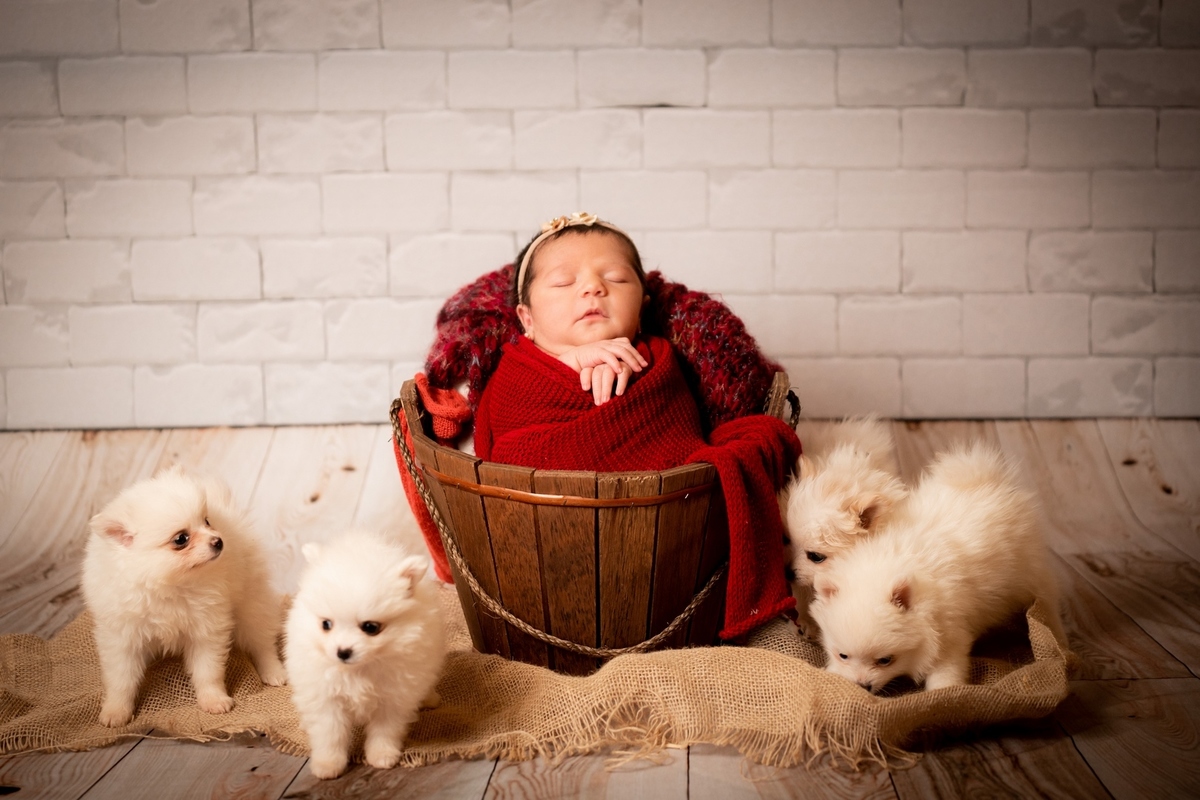 Newborn Brasilia, Newborn Menina, Raquel Lacerda Fotografa , Fotografia de Bebê 