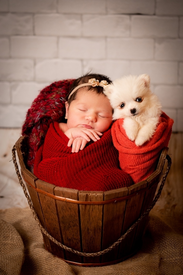 Newborn Brasilia, Newborn Menina, Raquel Lacerda Fotografa , Fotografia de Bebê 