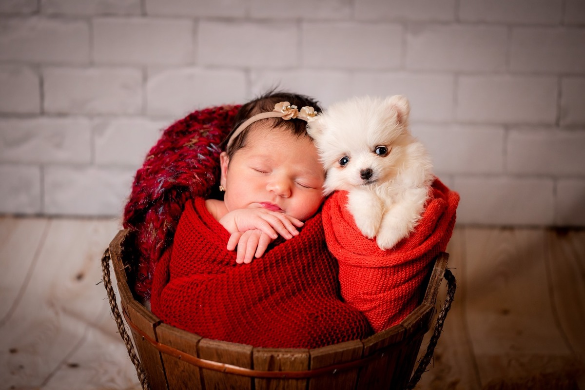 Newborn Brasilia, Newborn Menina, Raquel Lacerda Fotografa , Fotografia de Bebê 