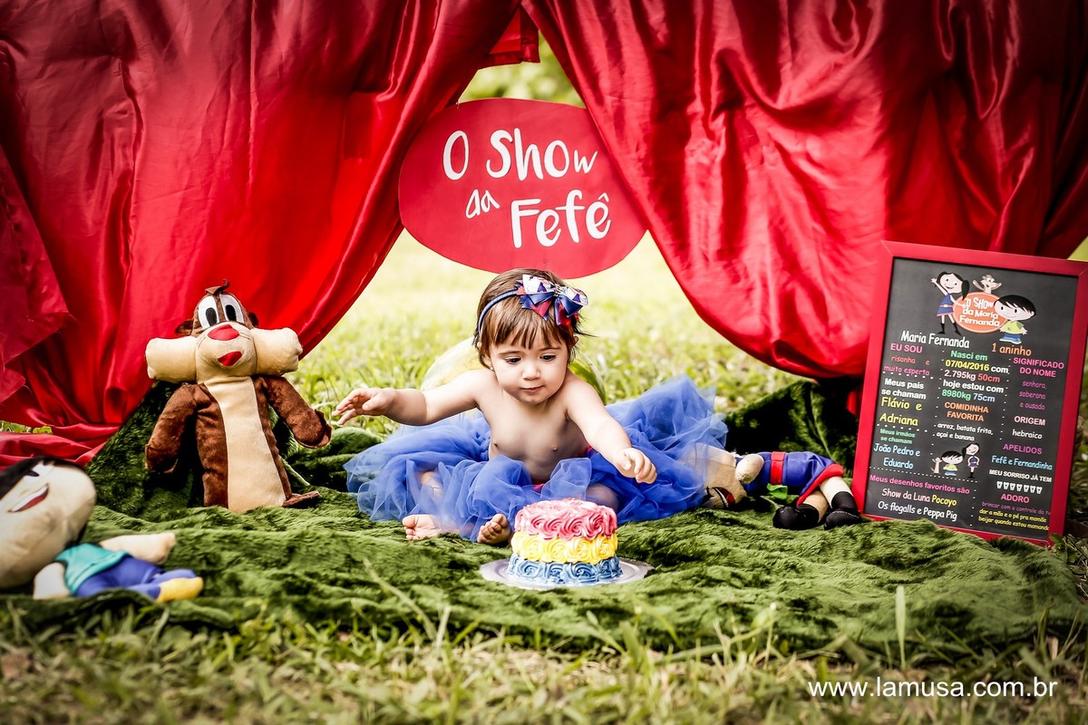 Acompanhamento bebe - Smash The cake