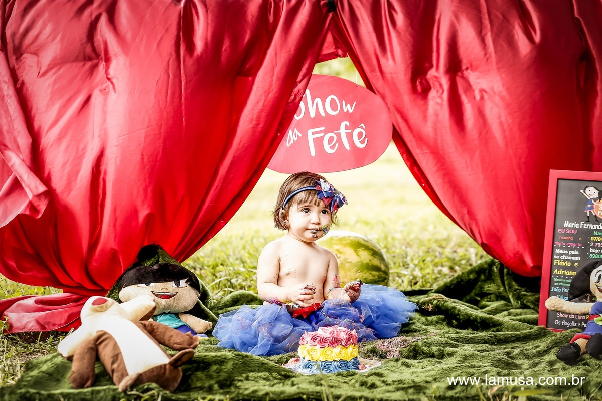 Acompanhamento bebe - Smash The cake