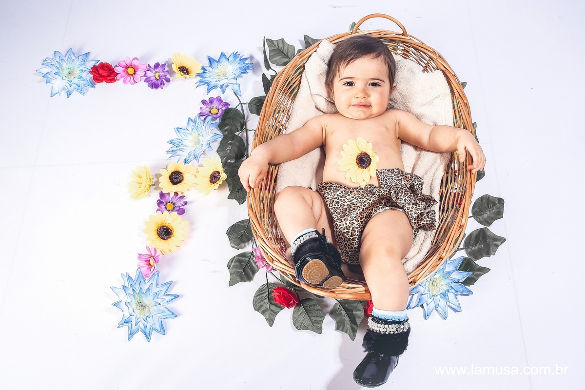 Acompanhamento bebe 7 meses