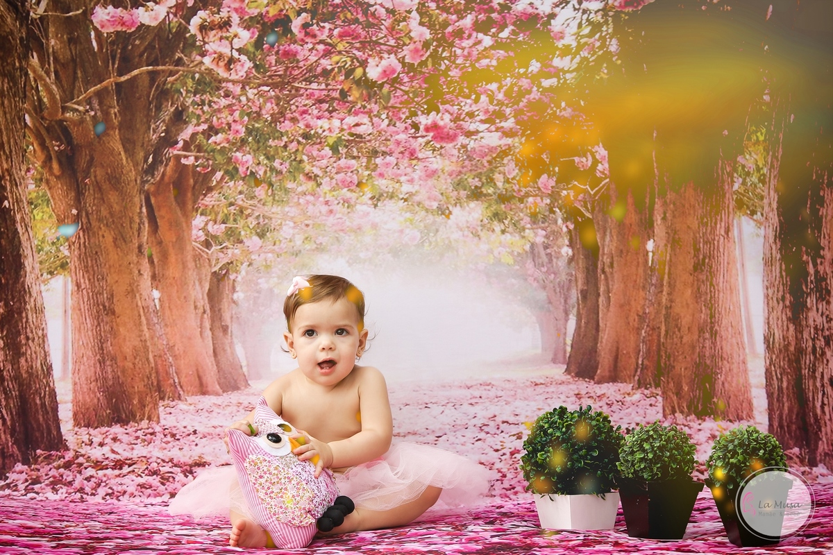 Ensaio bebe , Smash the cake,  la musa bebe , ensaio 1 ano, aniversario