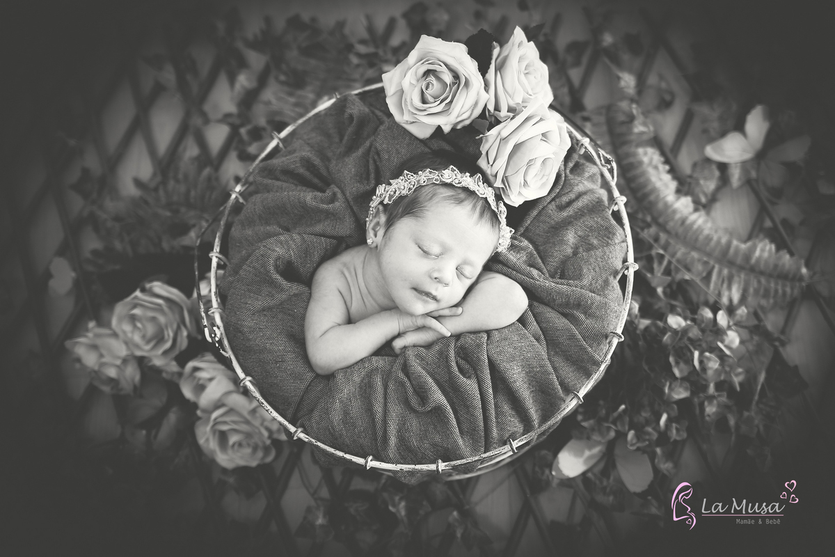 Ensaio Newborn Brasilia , ensaio gêmeas ,  mamãe de dois 