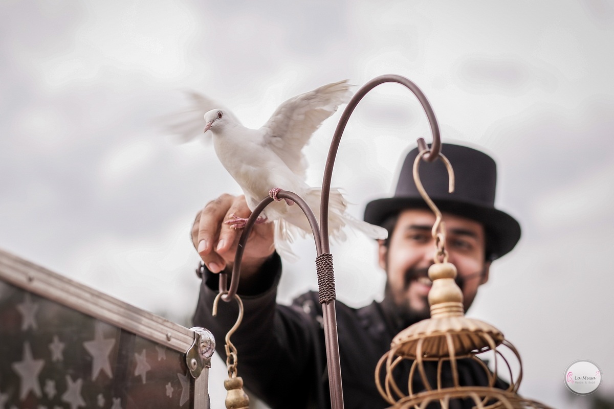 Festa Casa de boneca, lamusa, Mabel Manzi Decorações, haras do morro, festa menina, festa infantil