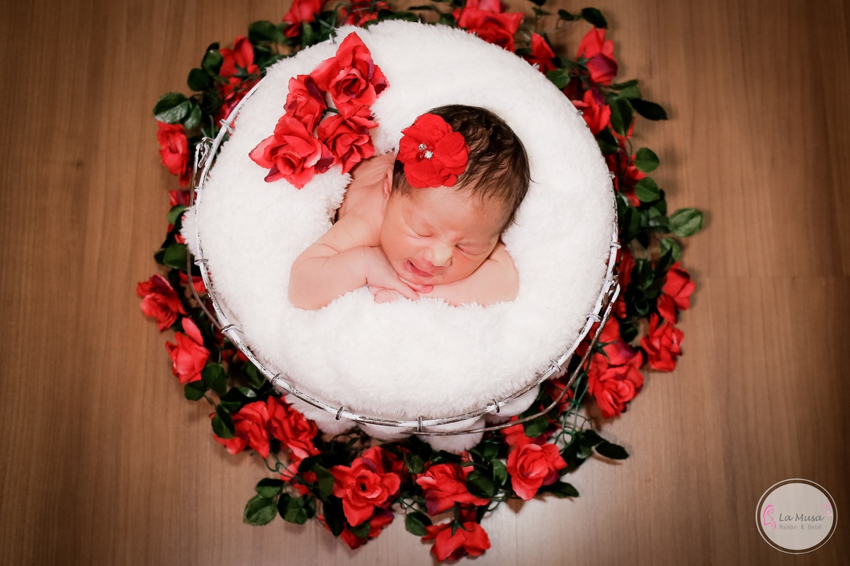 Newborn Brasilia, Lamusa , La musa, fotografia bebê, ensaio de bebê  (1)