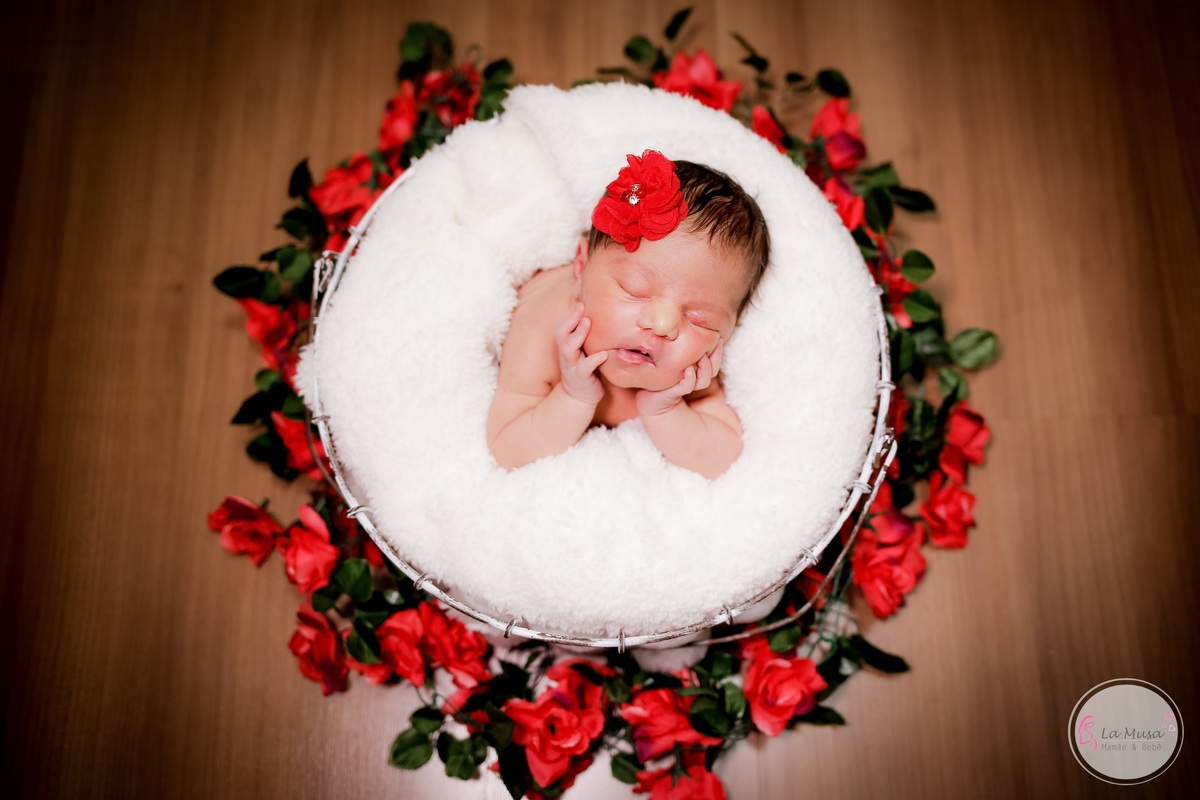Newborn Brasilia, Lamusa , La musa, fotografia bebê, ensaio de bebê  (1)