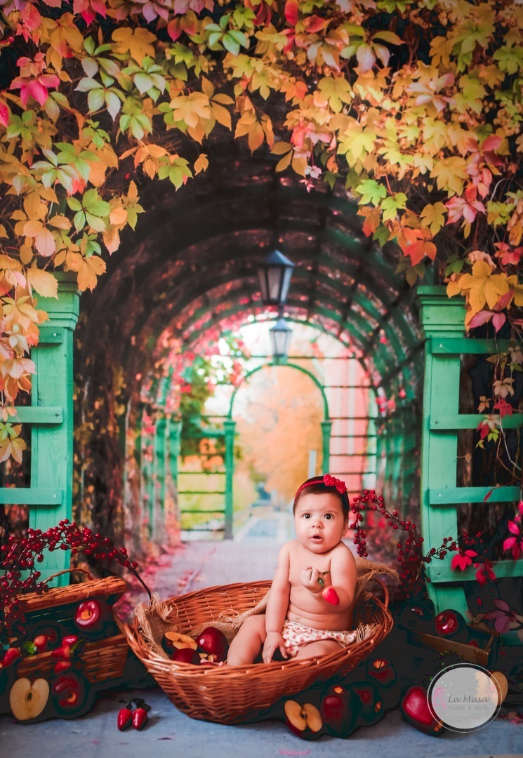 Ensaio acompanhamento 6 meses