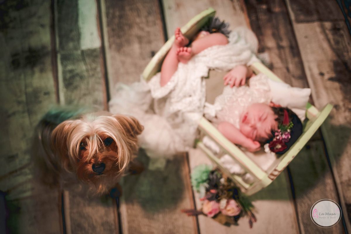 Newborn Brasilia, Newborn DF, Newborn Menina, Lamusa, fotografia de bebê, ensaio de bebê