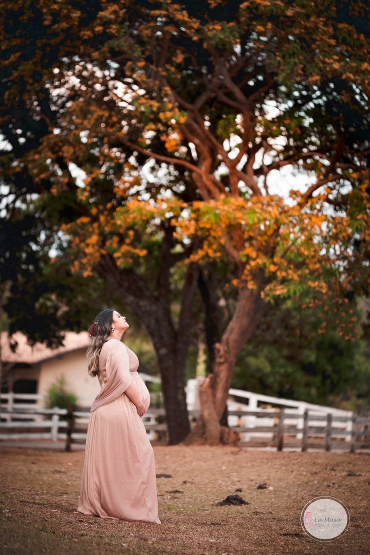 Gestante Haras do Morro, Fotos gestante quarto, fotos gestante com cavalo, ensaio de gravida Brasilia