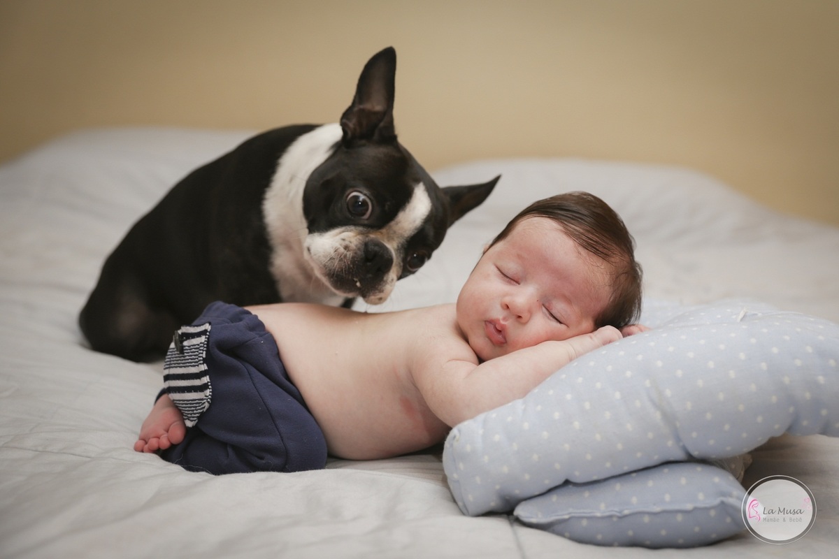 Ensaio Newborn lifestyle brasilia, fotografa de bebês recem nascido, ensaio de bebe recem nascido df