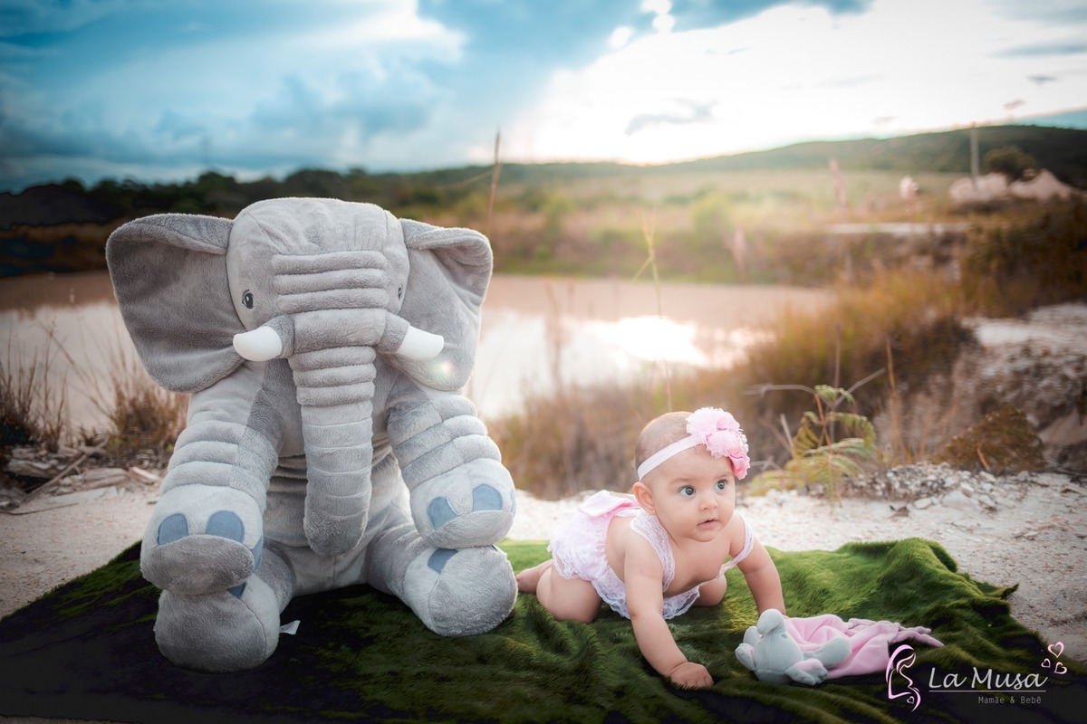Ensaio de Bebê acompanhamento, ensaio menina frutas, ensaio dunas de areia, ensaio família, fotografo de bebê