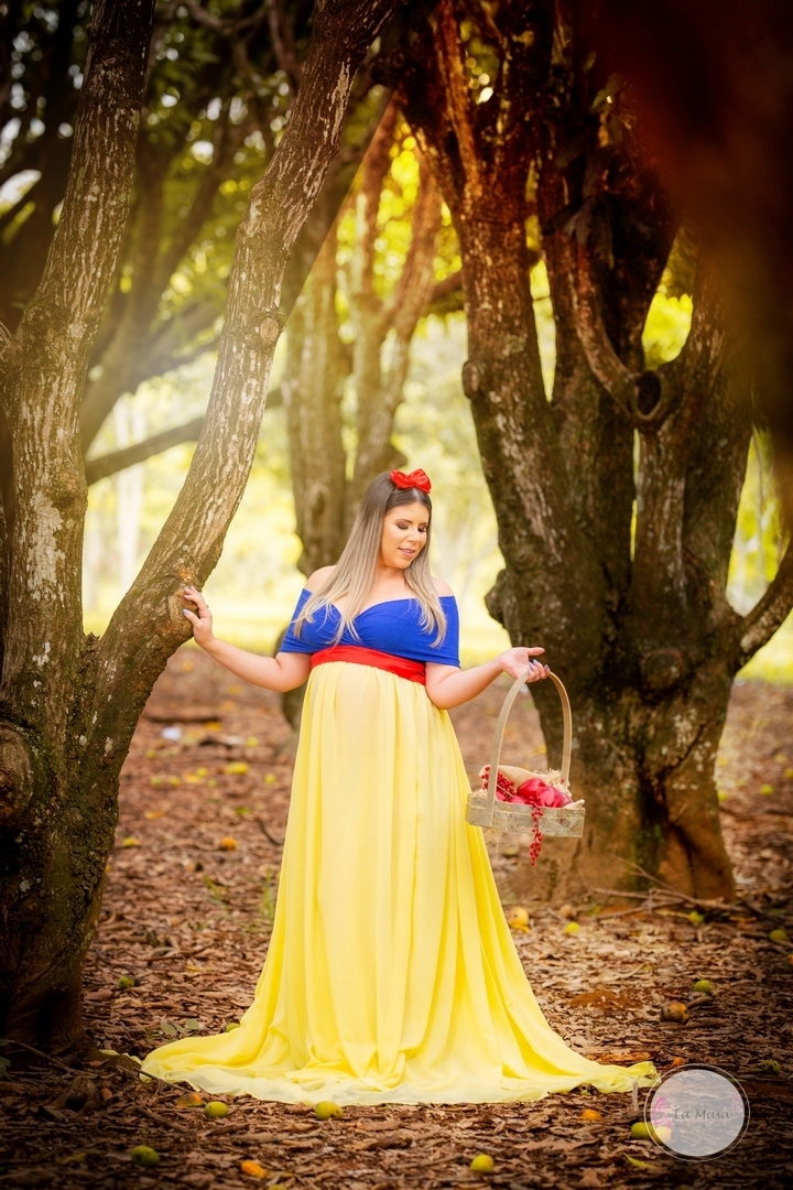 Gestante, Branca de neve Gestante, figurinos especiais gestante, Mamãe cinderela , ensaio gestante brasilia