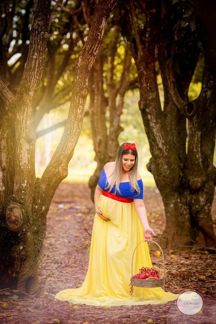 Gestante, Branca de neve Gestante, figurinos especiais gestante, Mamãe cinderela , ensaio gestante brasilia