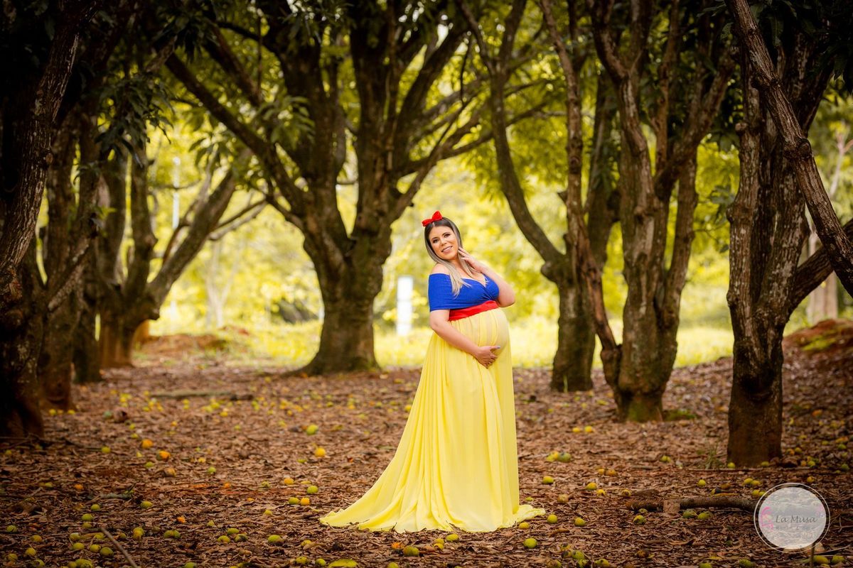 Gestante, Branca de neve Gestante, figurinos especiais gestante, Mamãe cinderela , ensaio gestante brasilia