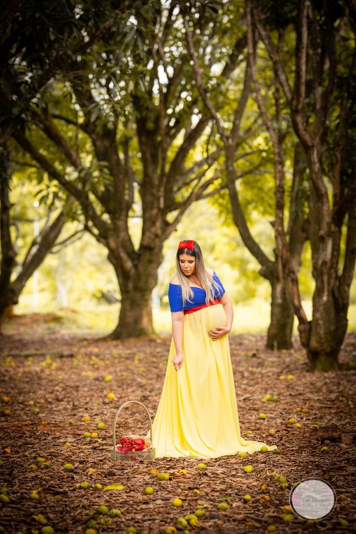 Gestante, Branca de neve Gestante, figurinos especiais gestante, Mamãe cinderela , ensaio gestante brasilia